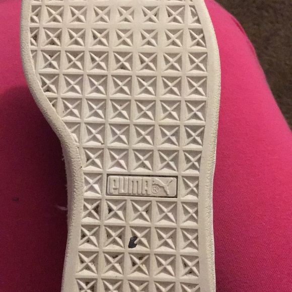 Pumas - Picture 3 of 4